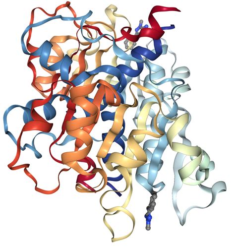 pghopd|Phosphoglycerate dehydrogenase .